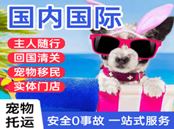 新桥机场邮寄国际宠物托运 【国